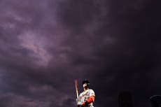 Morton brilla en la victoria de los Tigres 7-0 sobre los Mellizos