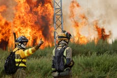 España agrega 500 soldados al combate de incendios forestales en medio de ola de calor