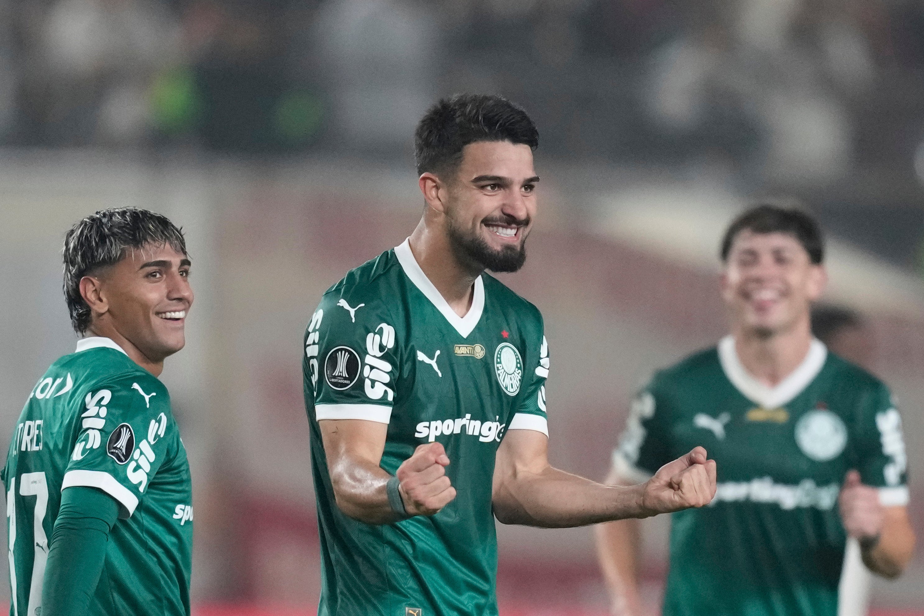 LIBERTADORES-RESUMEN