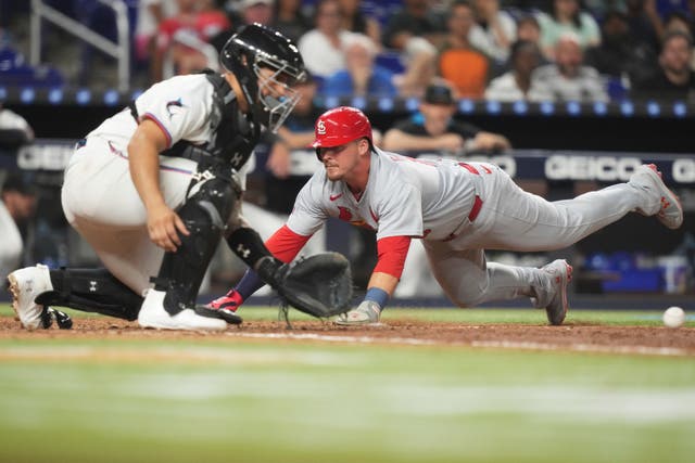CARDENALES MARLINS