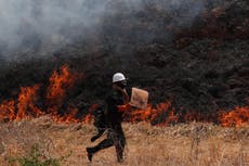 Bolivia declara emergencia nacional por incendios forestales. Se teme propagación de los fuegos