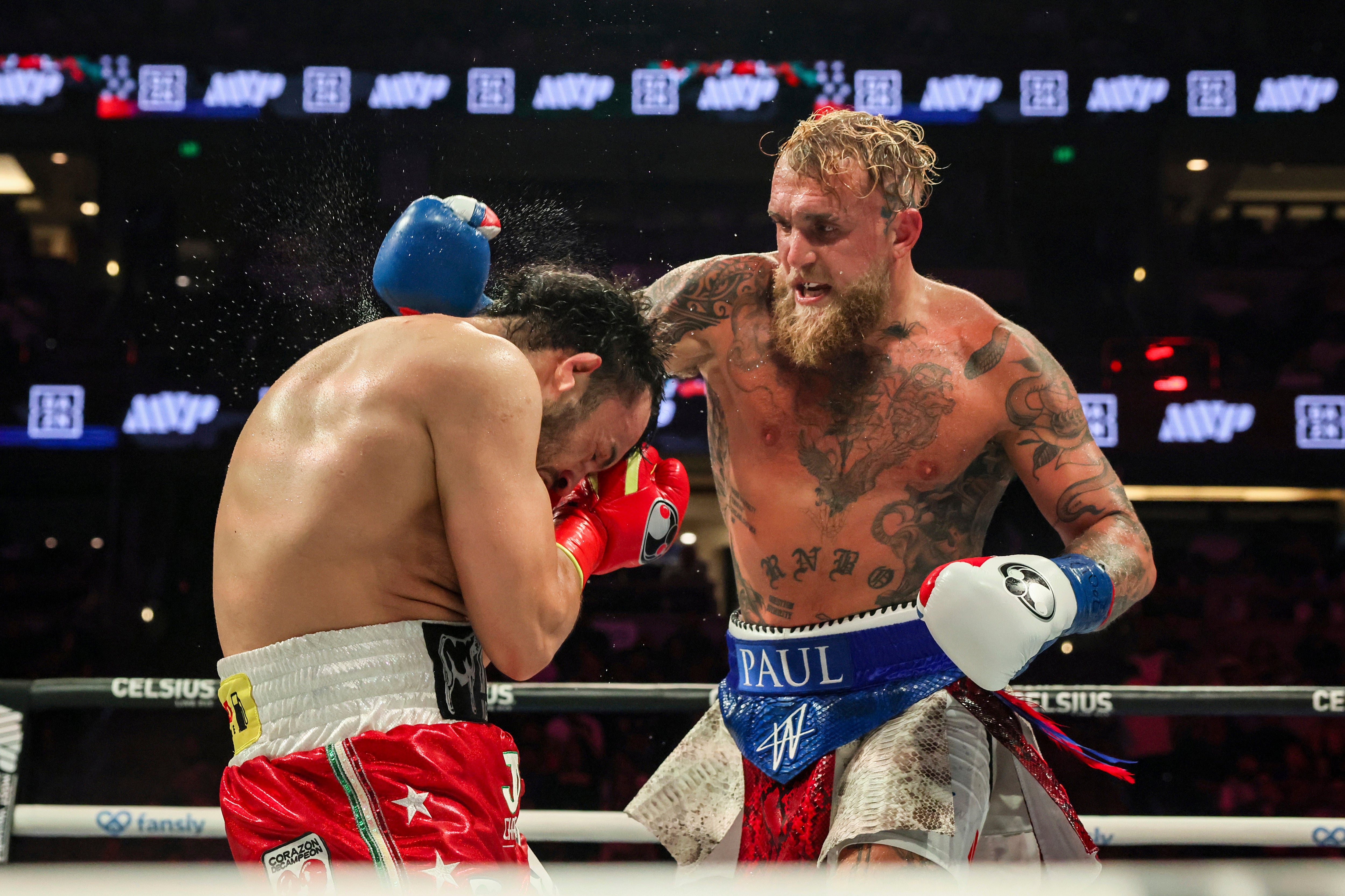 Jake Paul y Gervonta Davis anuncian pelea para el 14 de noviembre