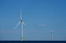 Trump culpa a las energías renovables por el aumento en el precio de la electricidad