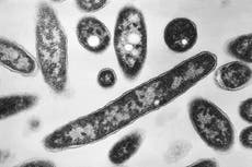 Muertes por brote de legionelosis en Nueva York suben a 6; infecciones alcanzan 111