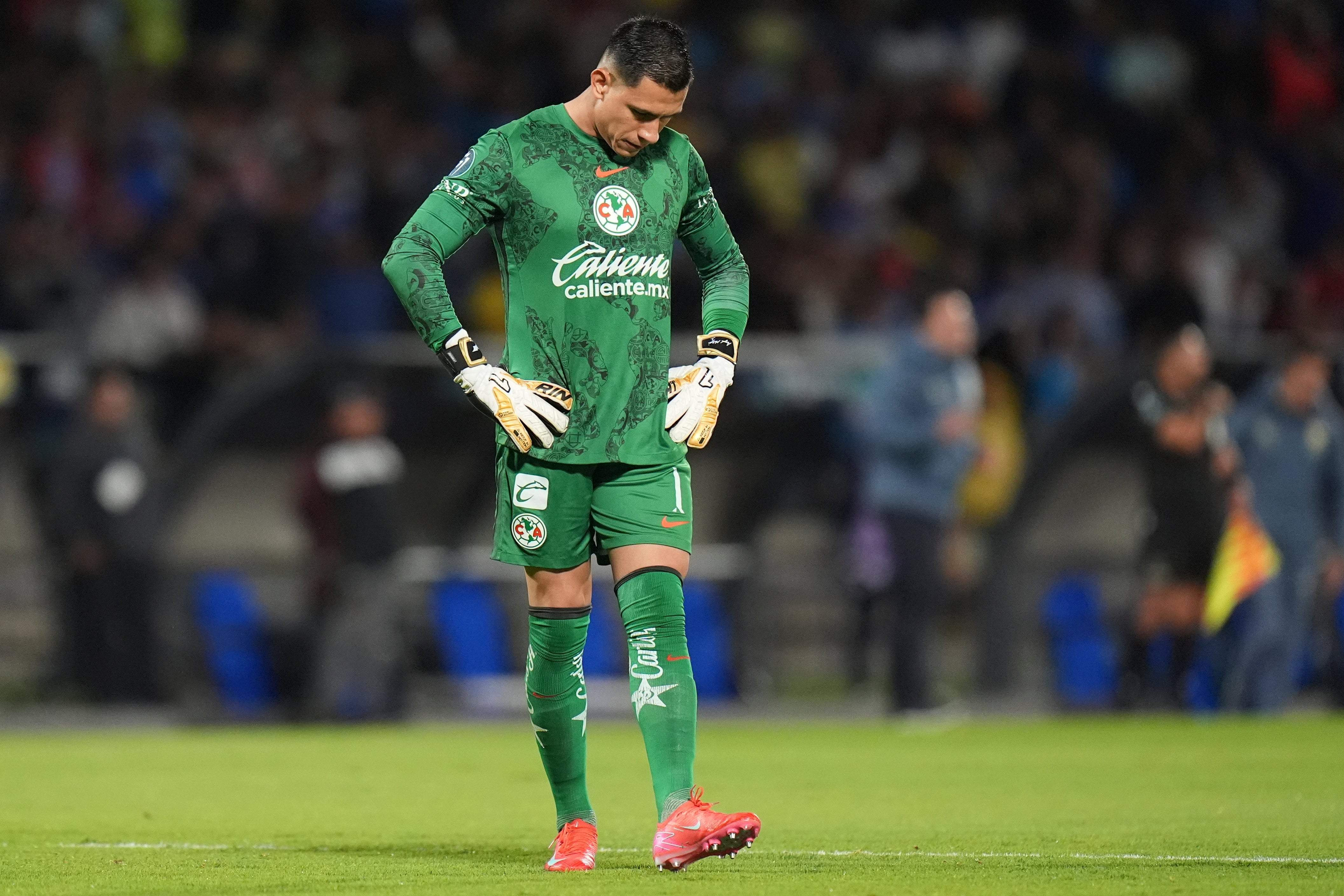 MÉXICO-PLANTEL