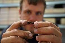 Investigadores descubren asentamiento de la Edad de Piedra sumergido por el mar en Dinamarca