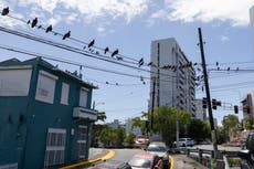 Fracasa acuerdo para reestructurar deuda de la empresa eléctrica de Puerto Rico