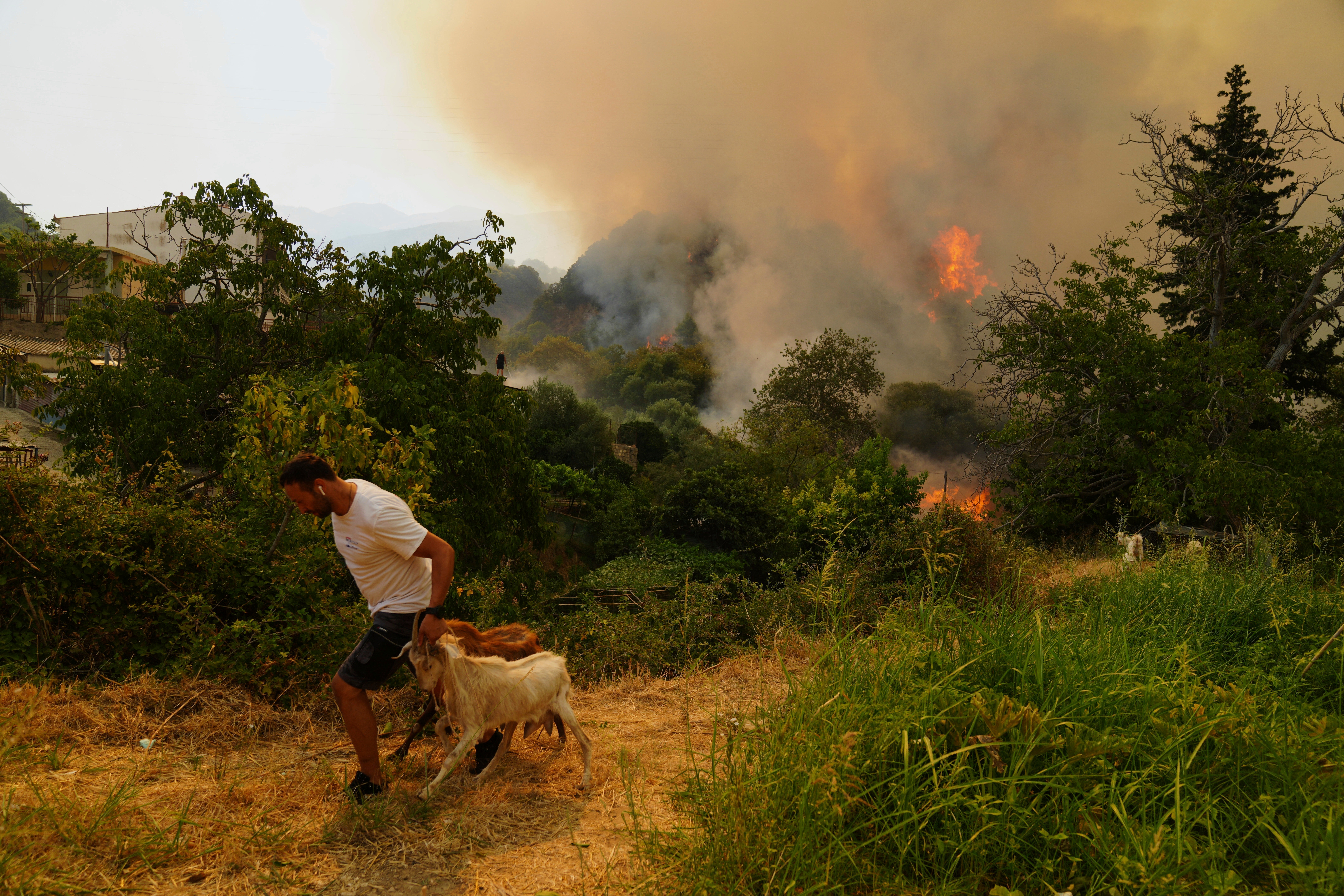 EUR-CLI CAMBIO CLIMÁTICO-INCENDIOS