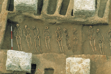 Estudio de ADN revela el origen de la primera pandemia del mundo