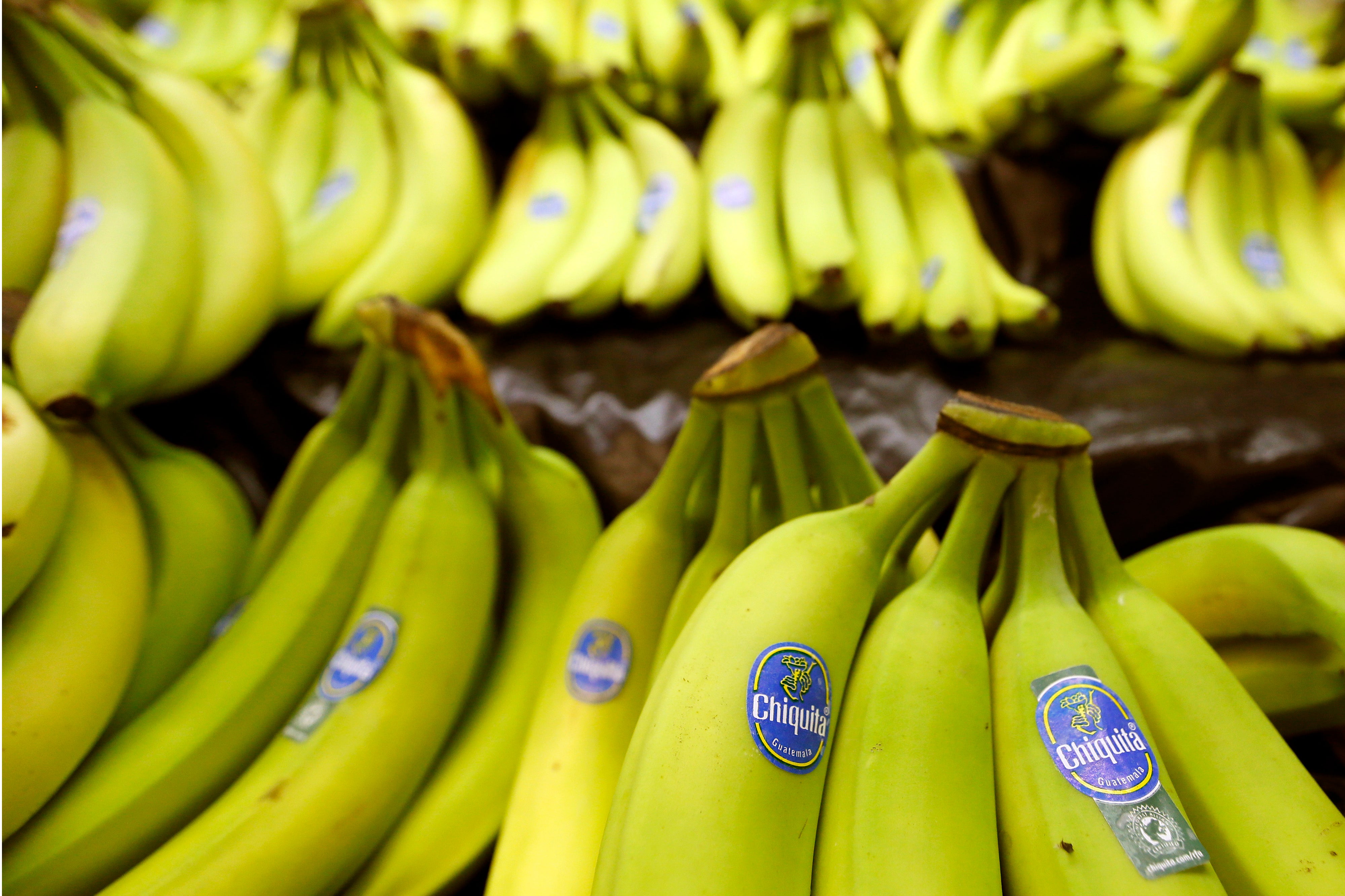 PANAMÁ-CHIQUITA