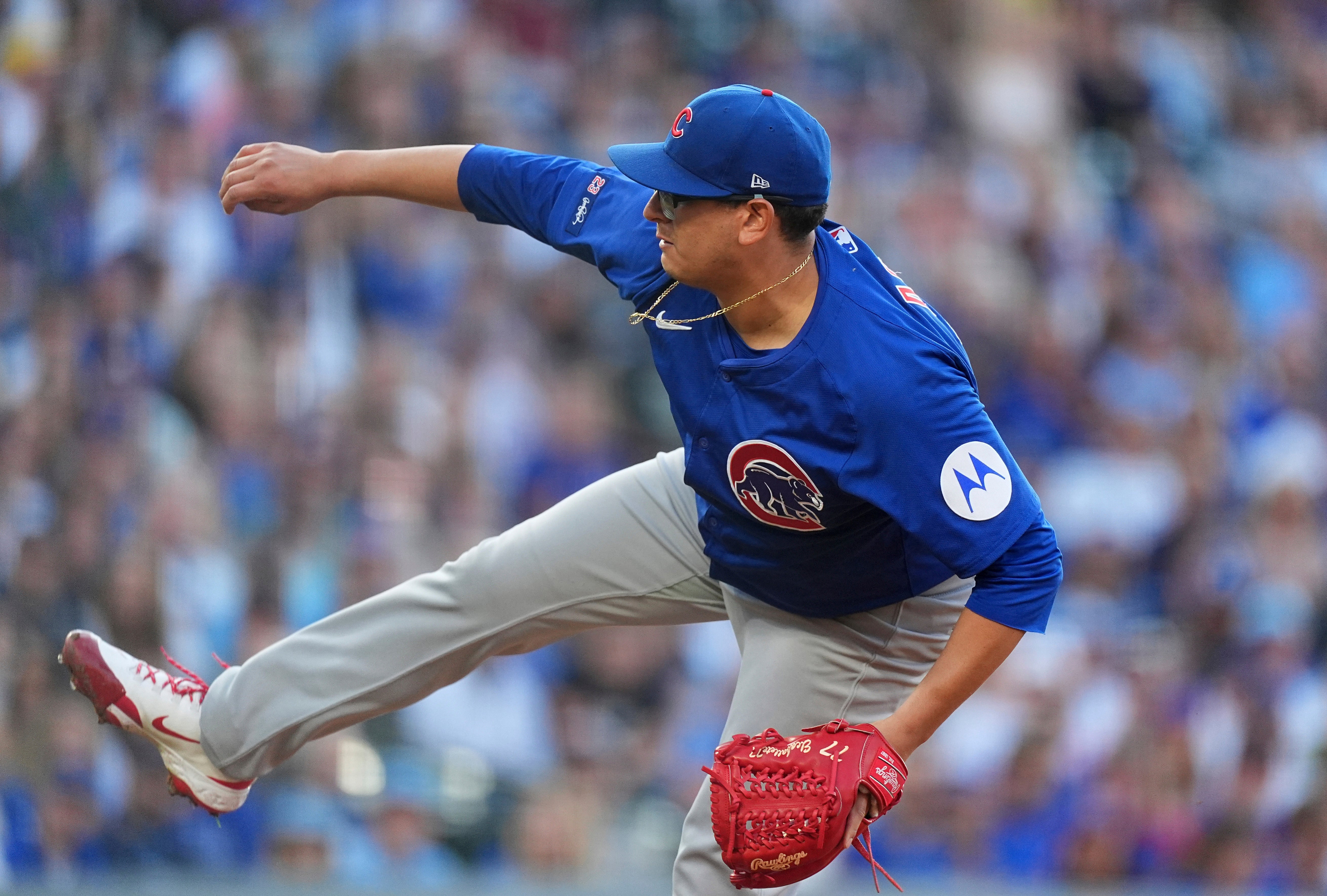 CACHORROS-ROCKIES
