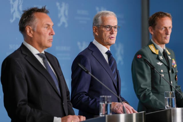 NORUEGA-DEFENSA