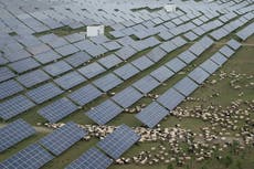 China se apresura a construir el mayor parque solar del mundo para cumplir objetivos de emisiones