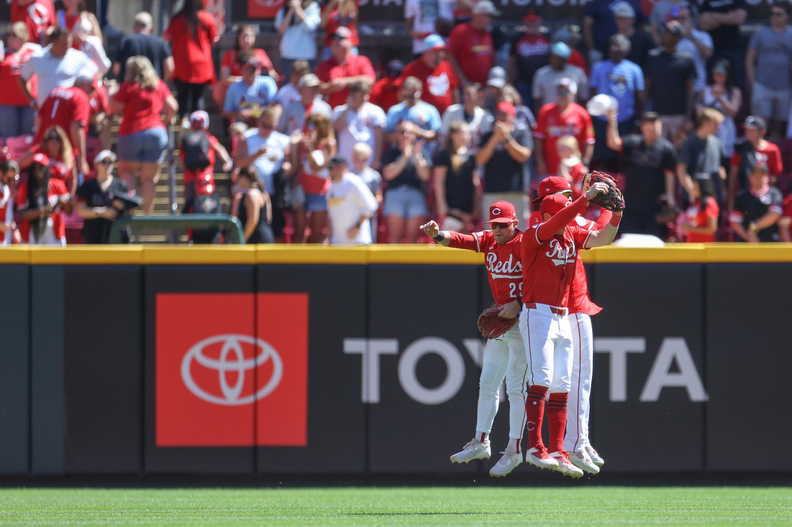 CARDENALES-ROJOS