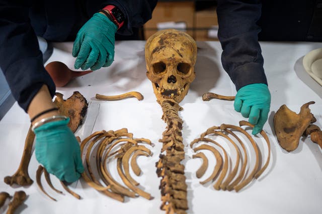 <p>Hallan restos de un enterramiento prehispánico durante una excavación</p>