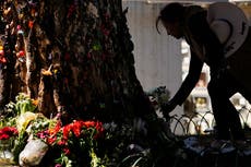 Un árbol al que se le atribuyen milagros es venerado en Bolivia
