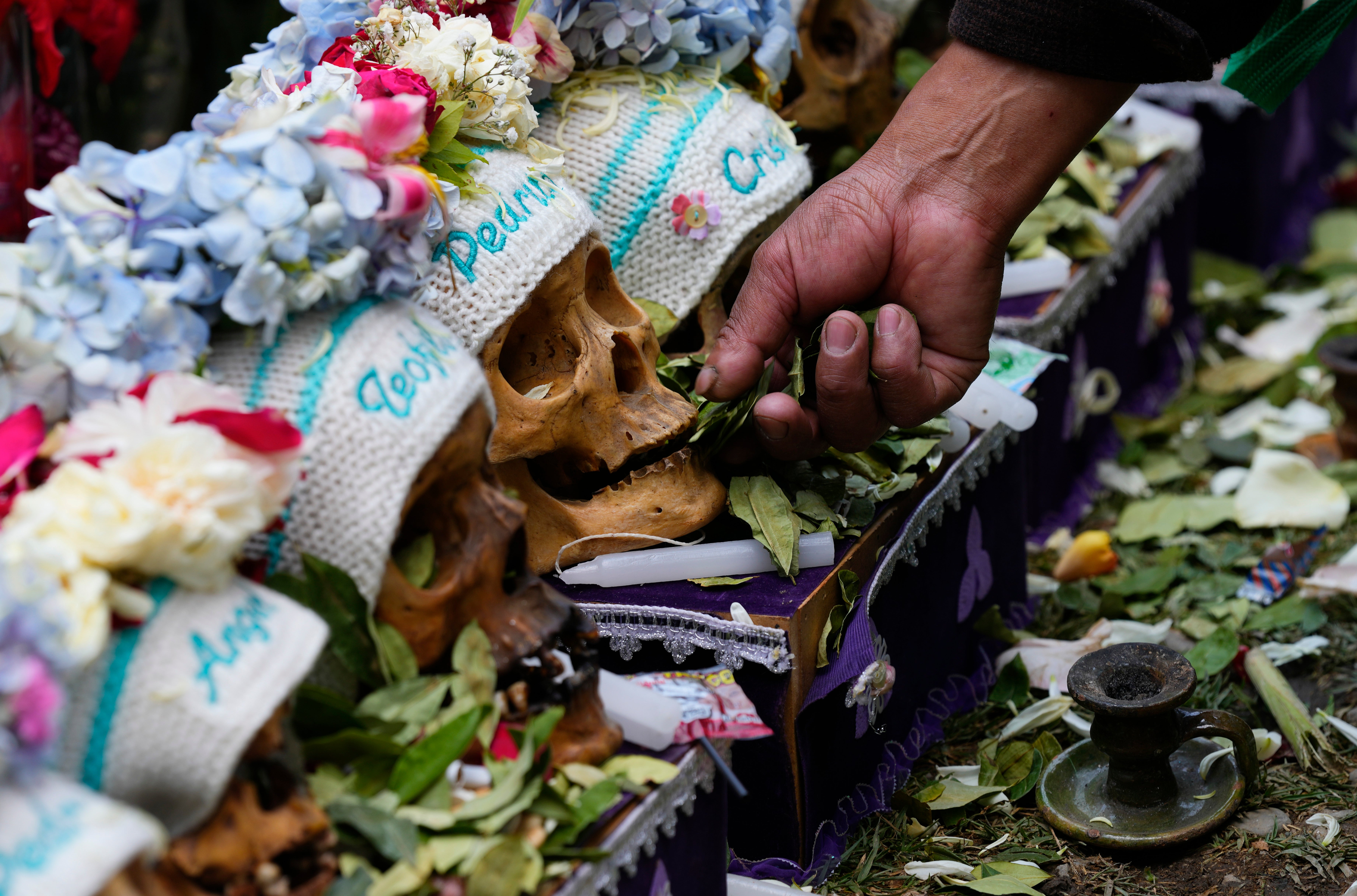 BOLIVIA-HOJA DE COCA-SAGRADA