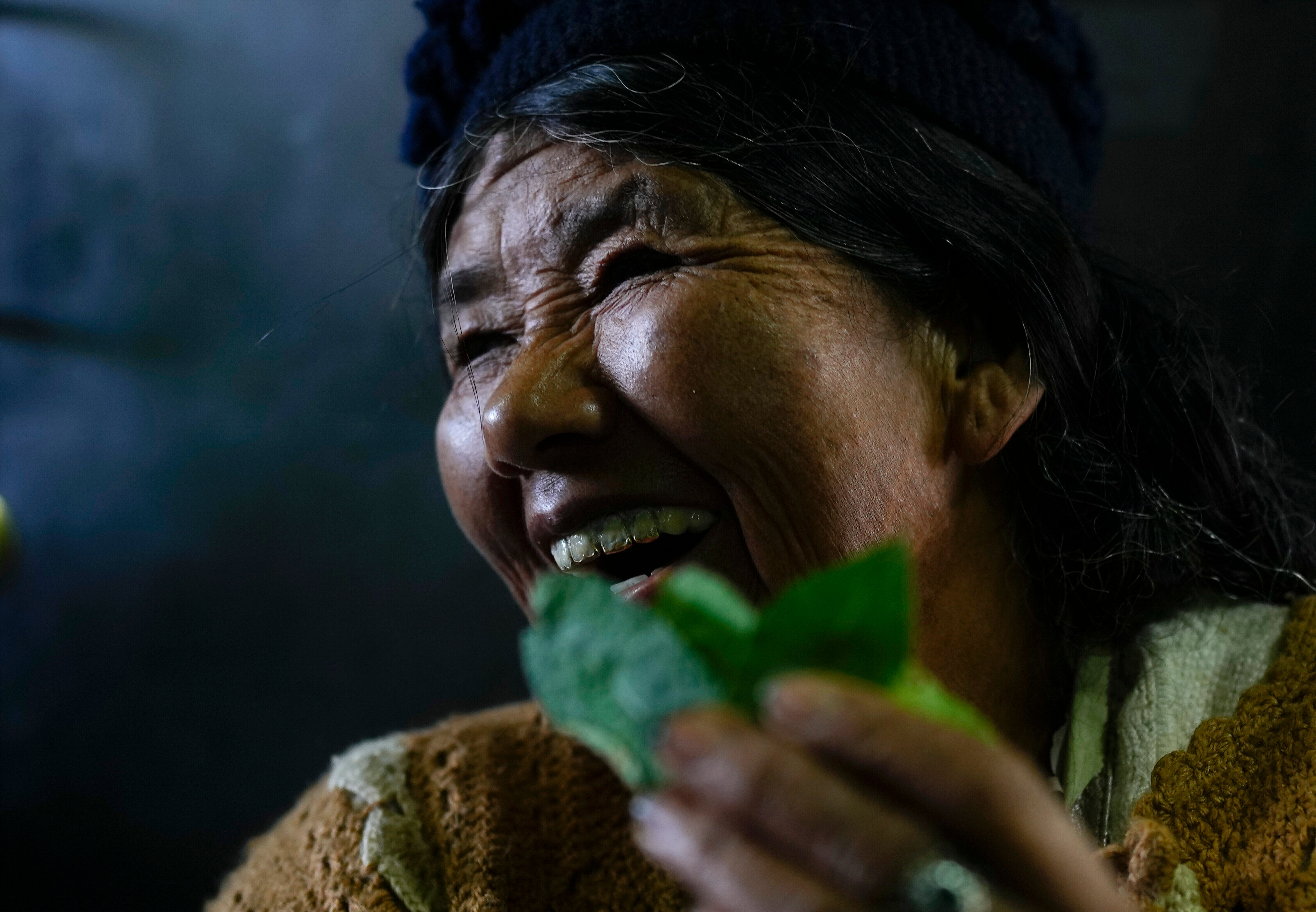 BOLIVIA-HOJA DE COCA-SAGRADA