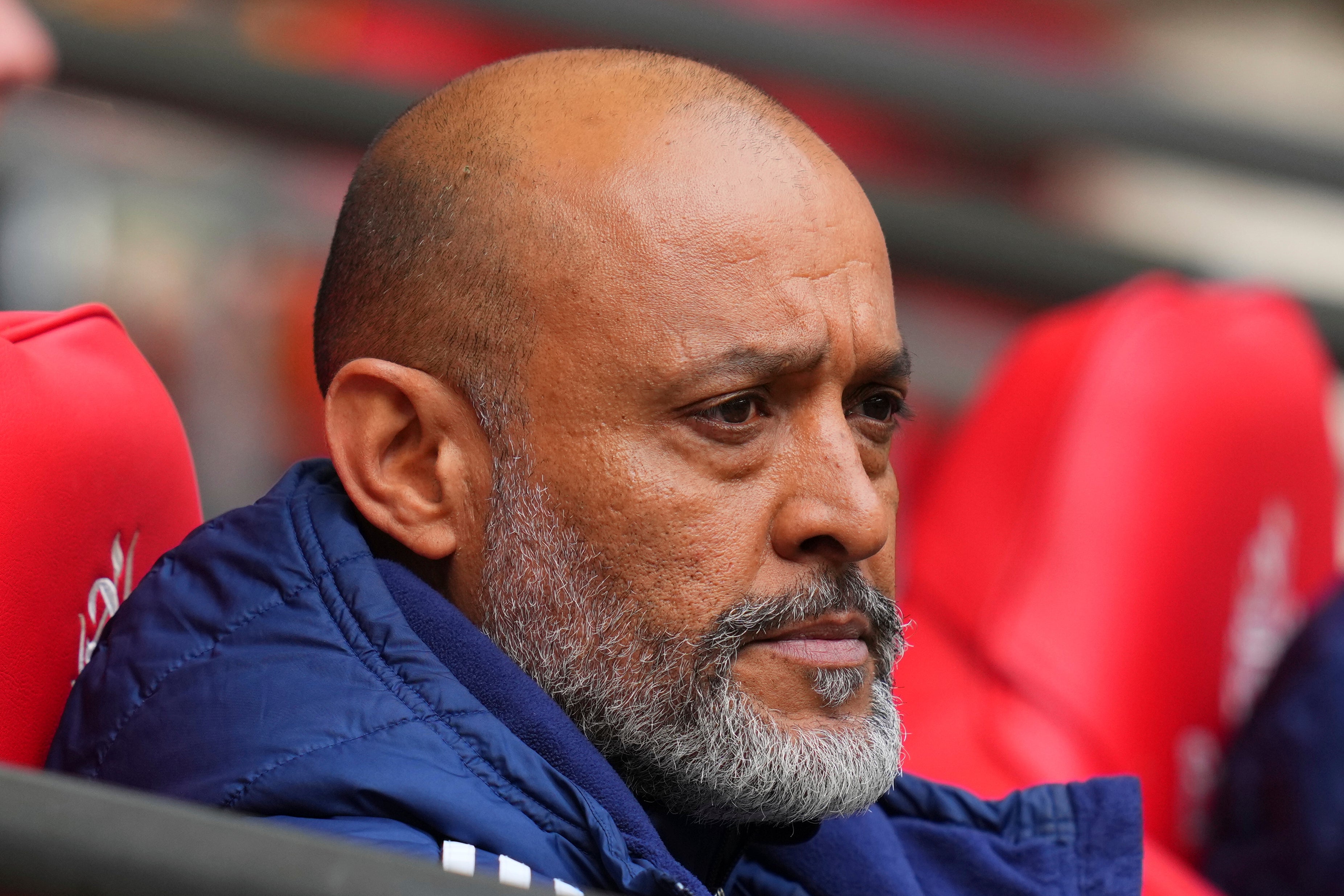 FOREST-CESE NUNO