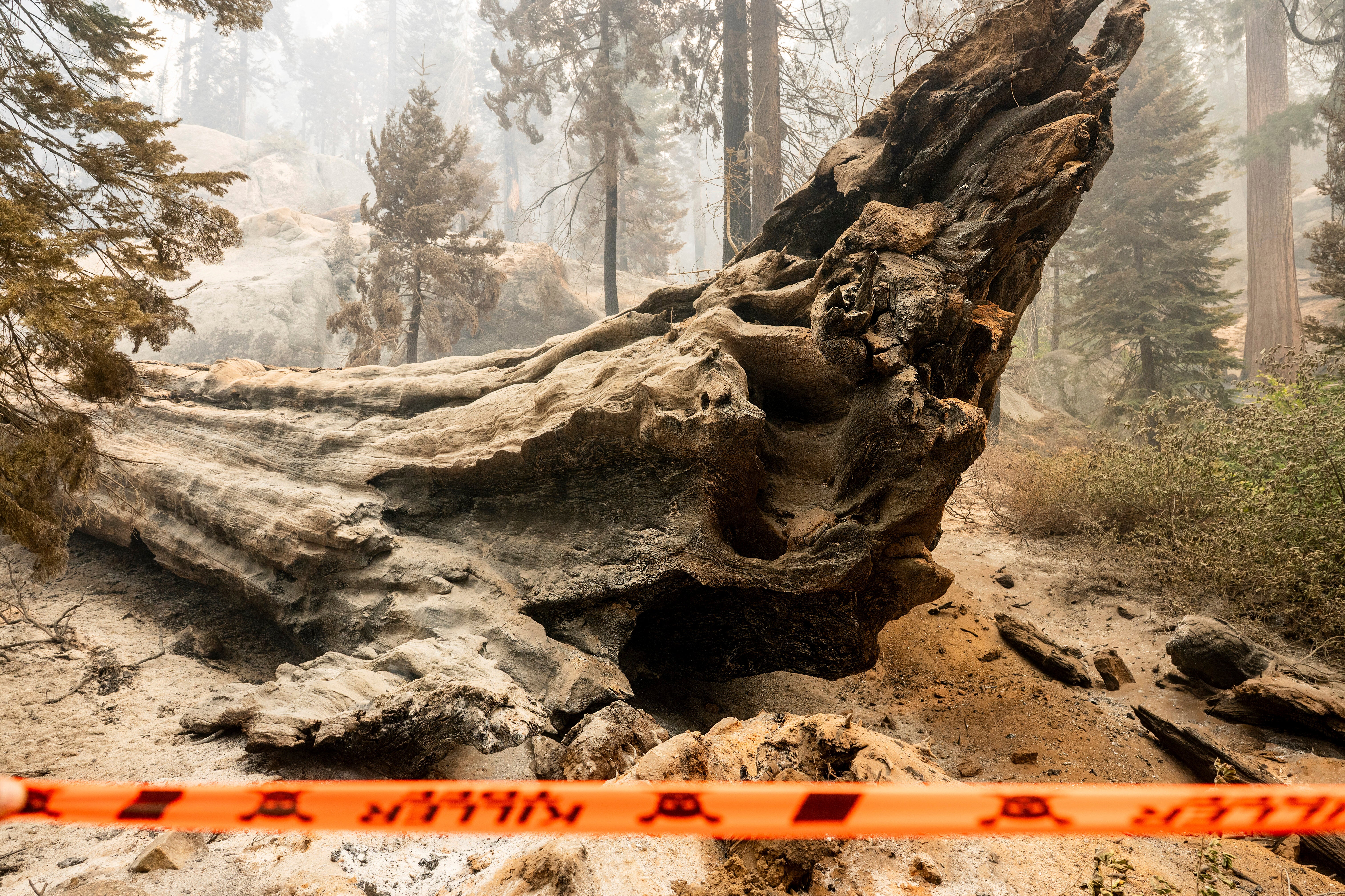 AMN-GEN CALIFORNIA-INCENDIOS