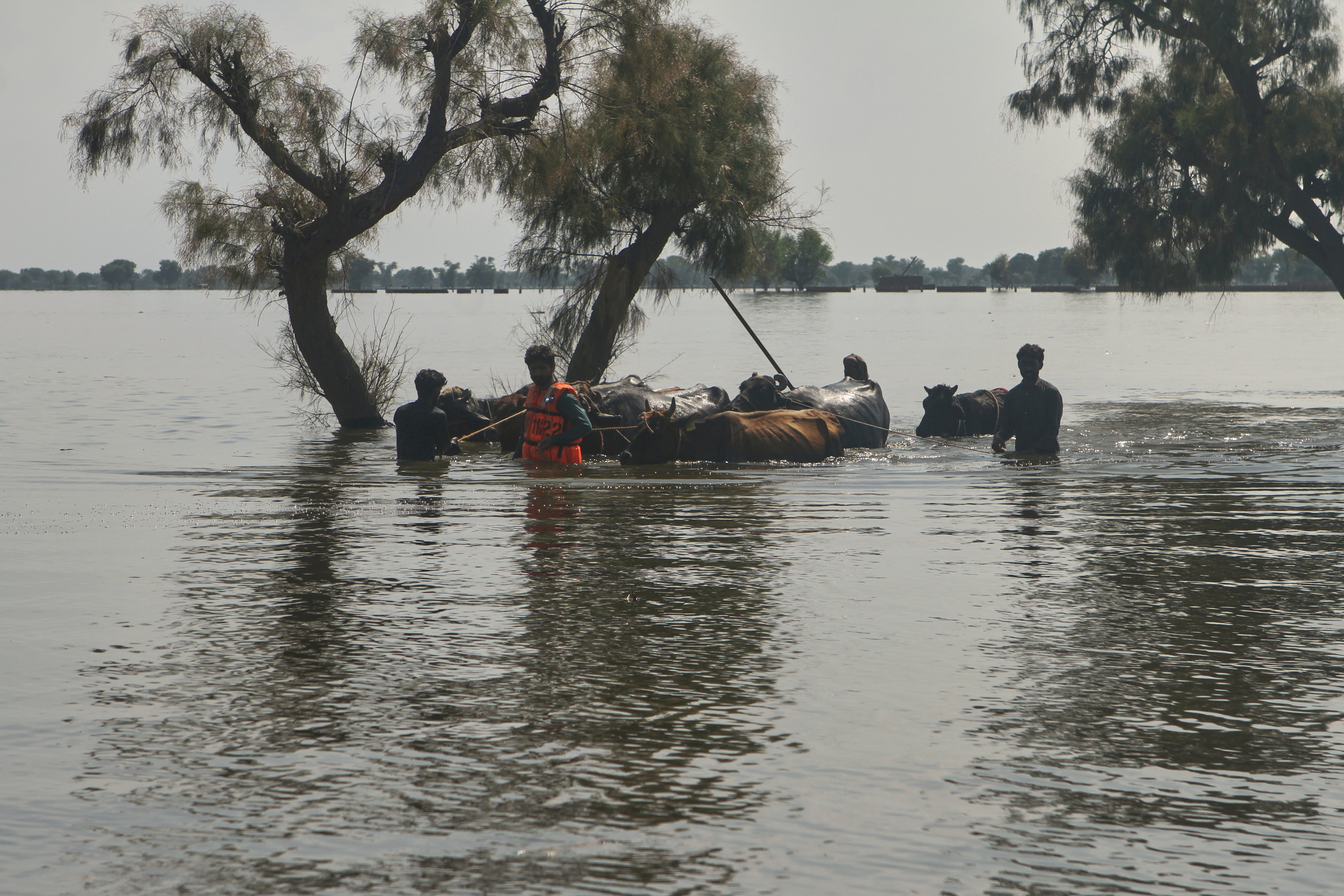 PAKISTÁN-INUNDACIONES