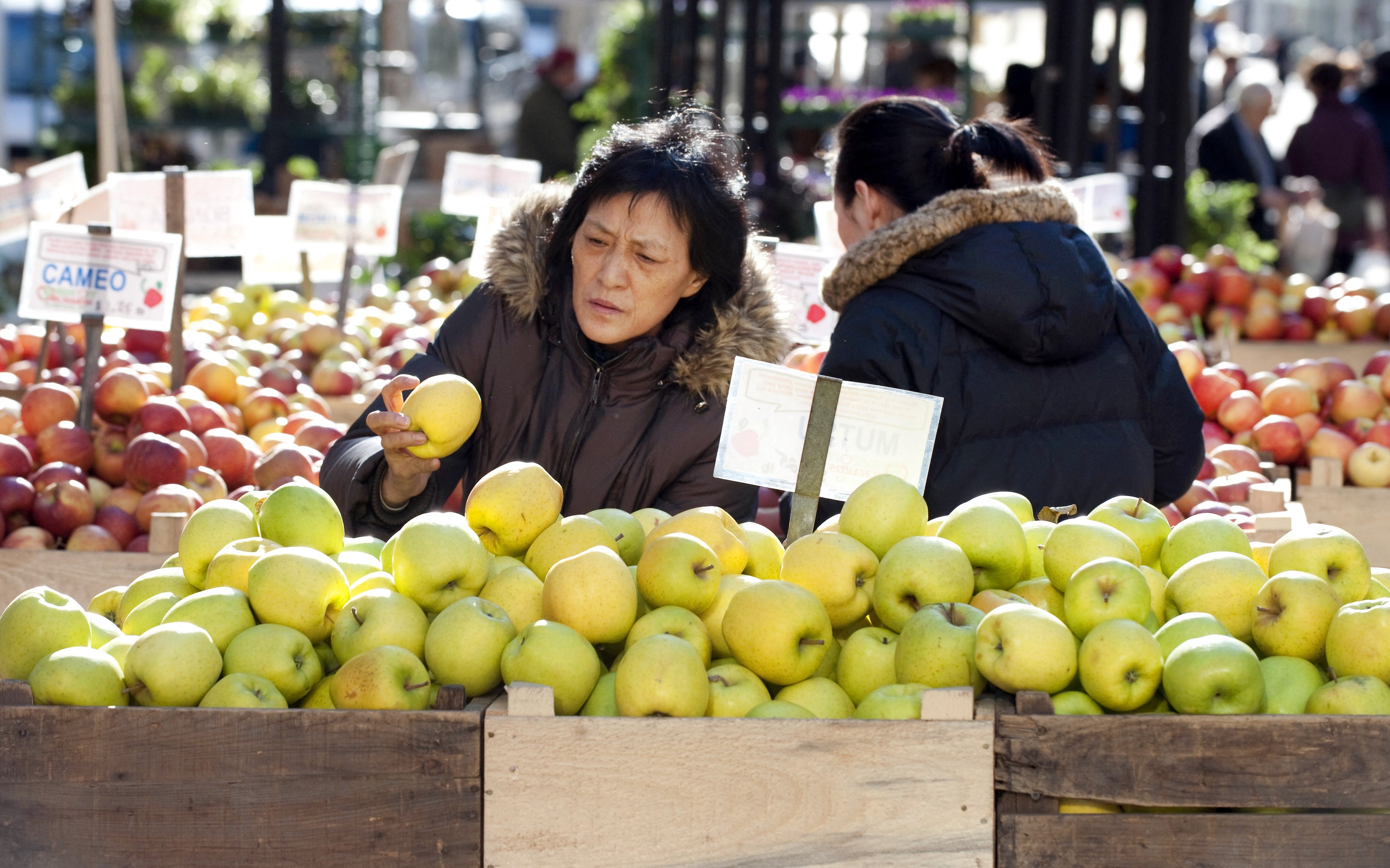 Con una o dos manzanas al día es suficiente para aprovechar todos sus beneficios