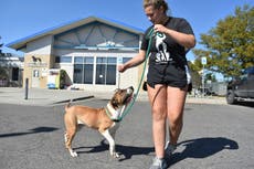 Atienden a personal de refugio de animales en Montana por humo de metanfetamina incinerada por FBI