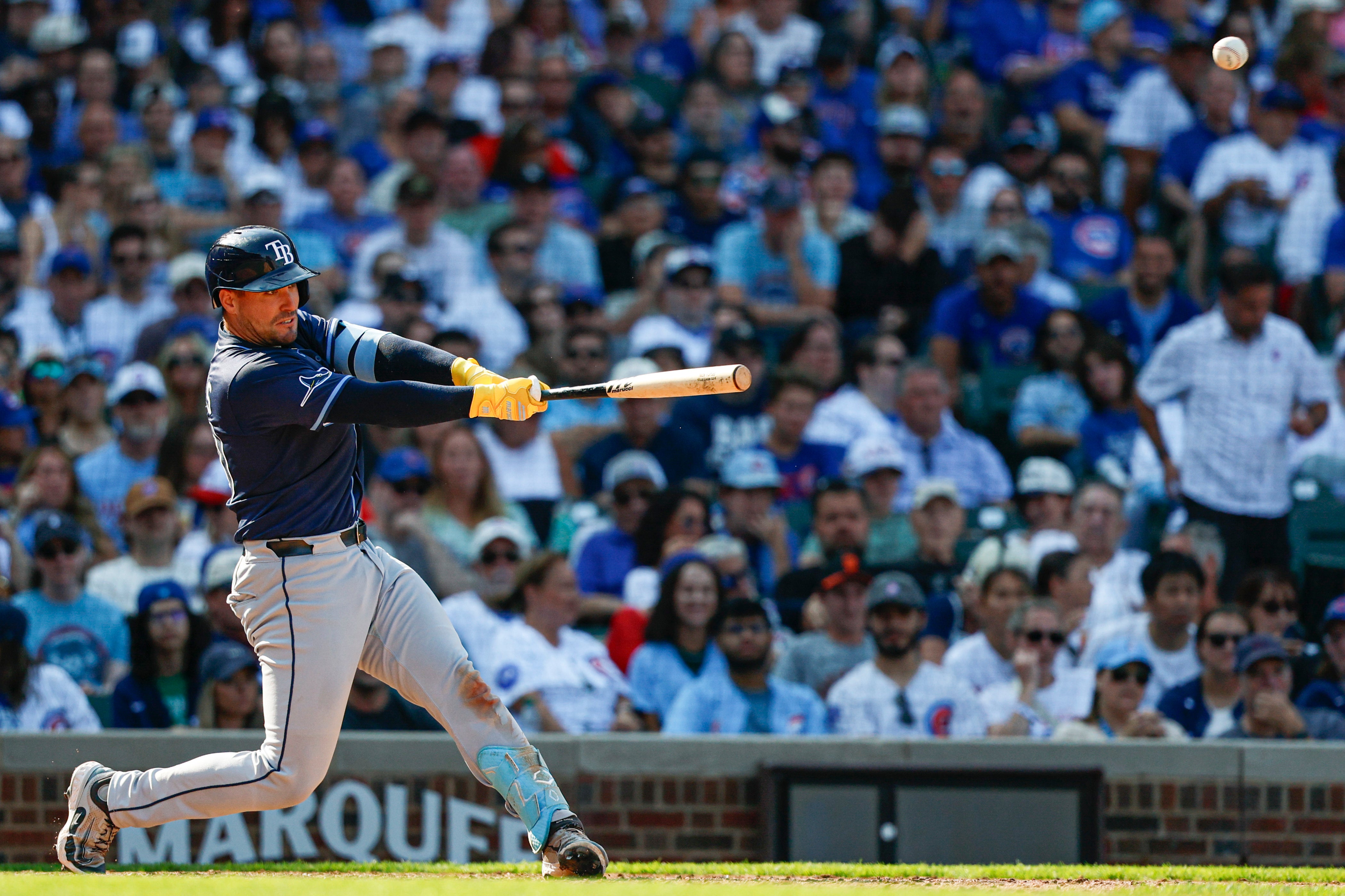RAYS-CACHORROS