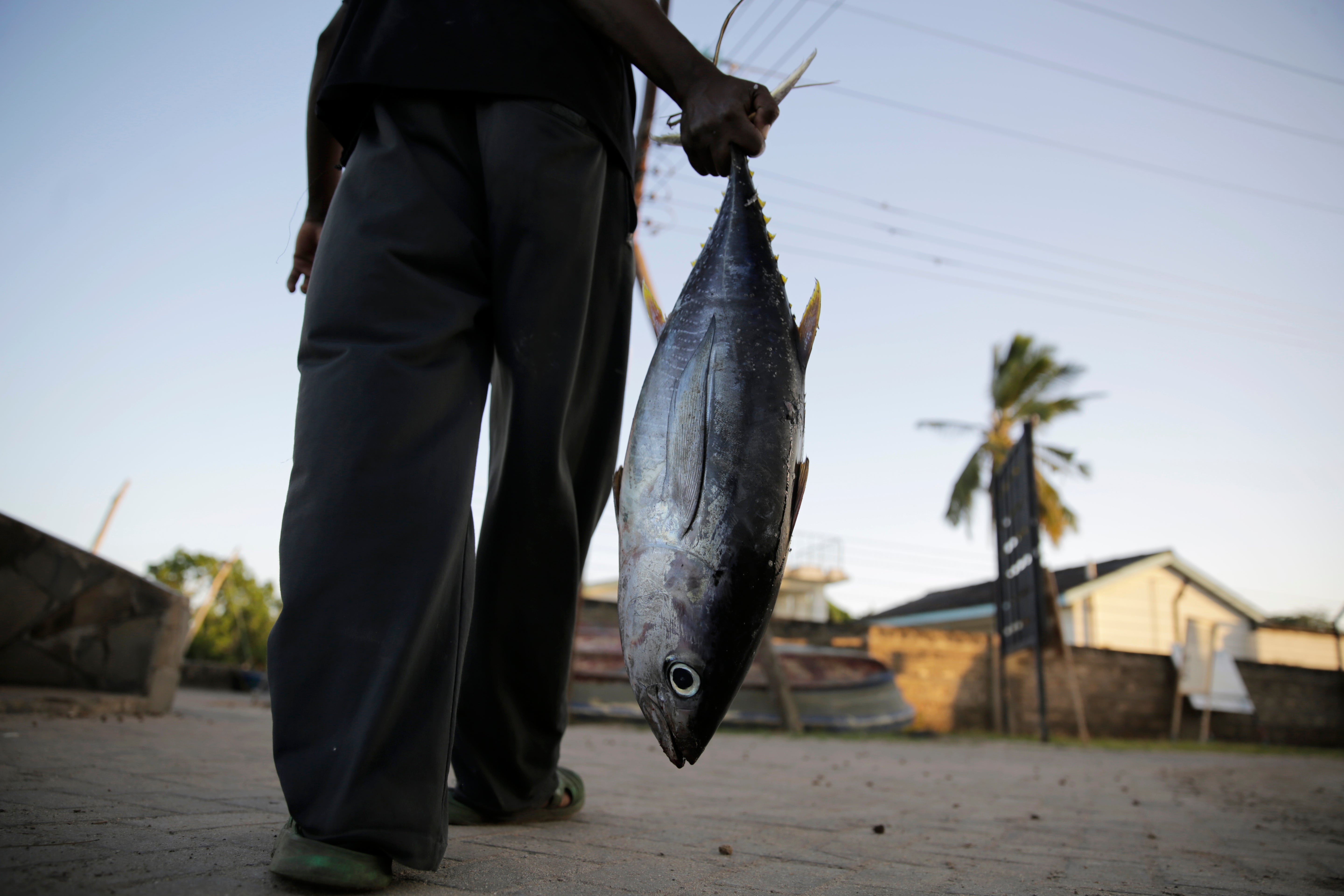 OMC-ACUERDO DE PESCA