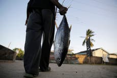 Entra en vigor el acuerdo global de la OMC para reducir la sobrepesca