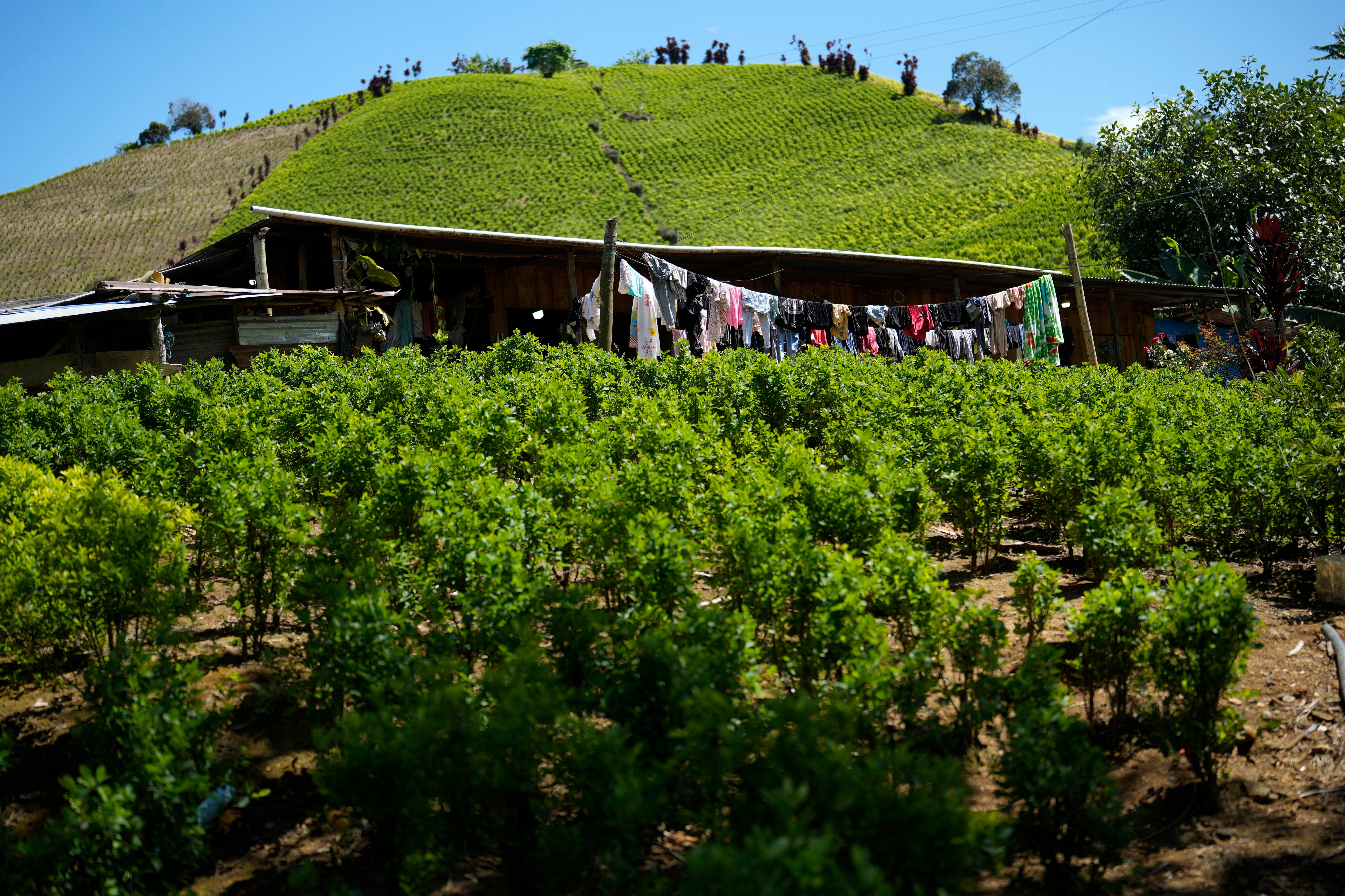 COLOMBIA-EEUU DROGAS