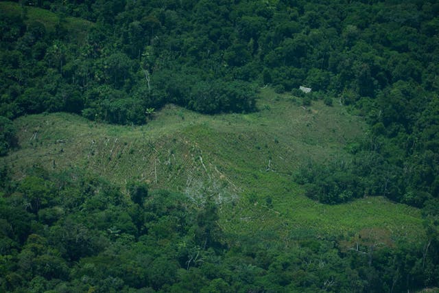 LATINOAMÉRICA-AMBIENTALISTAS ASESINADOS