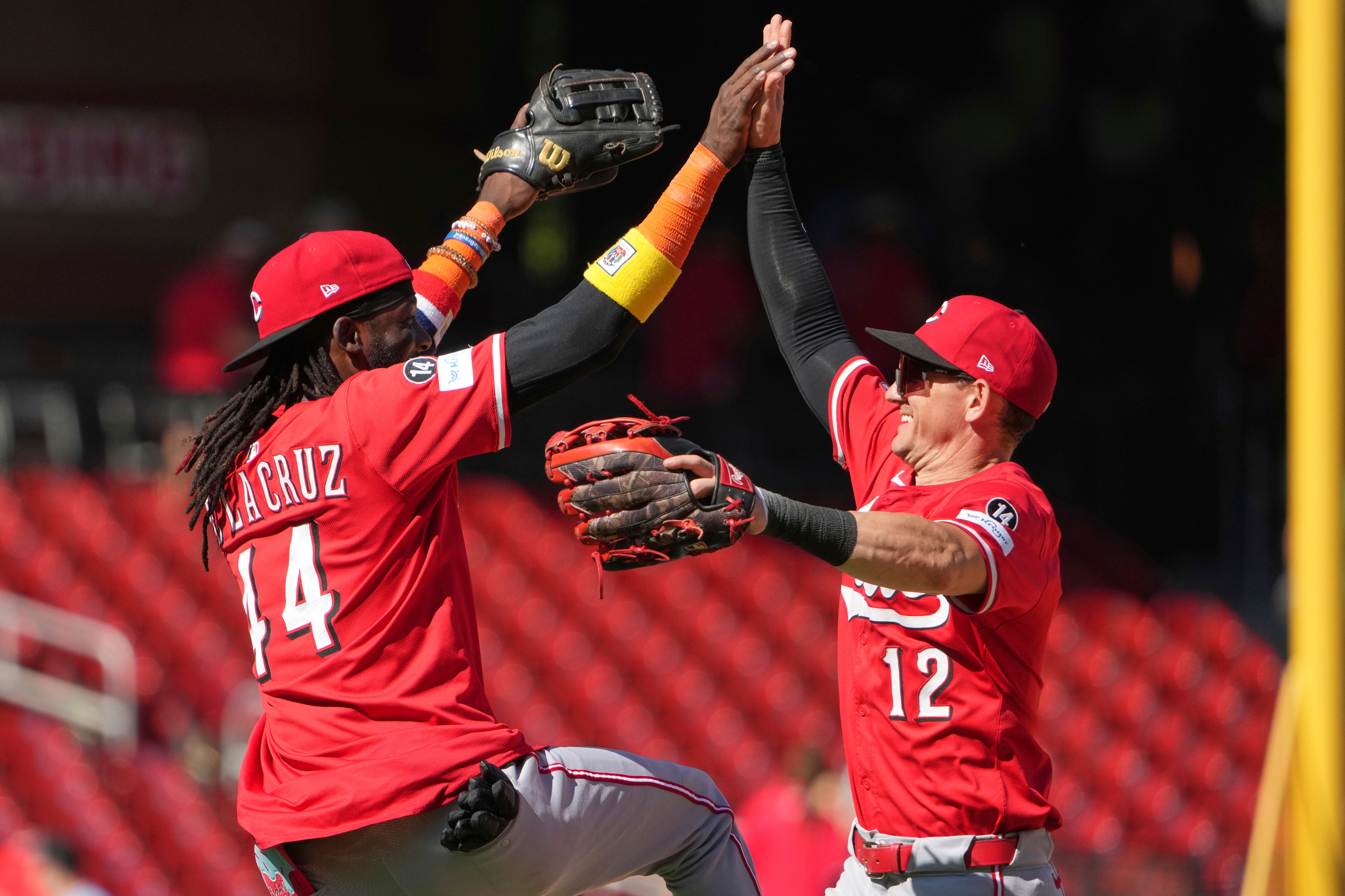 ROJOS CARDENALES