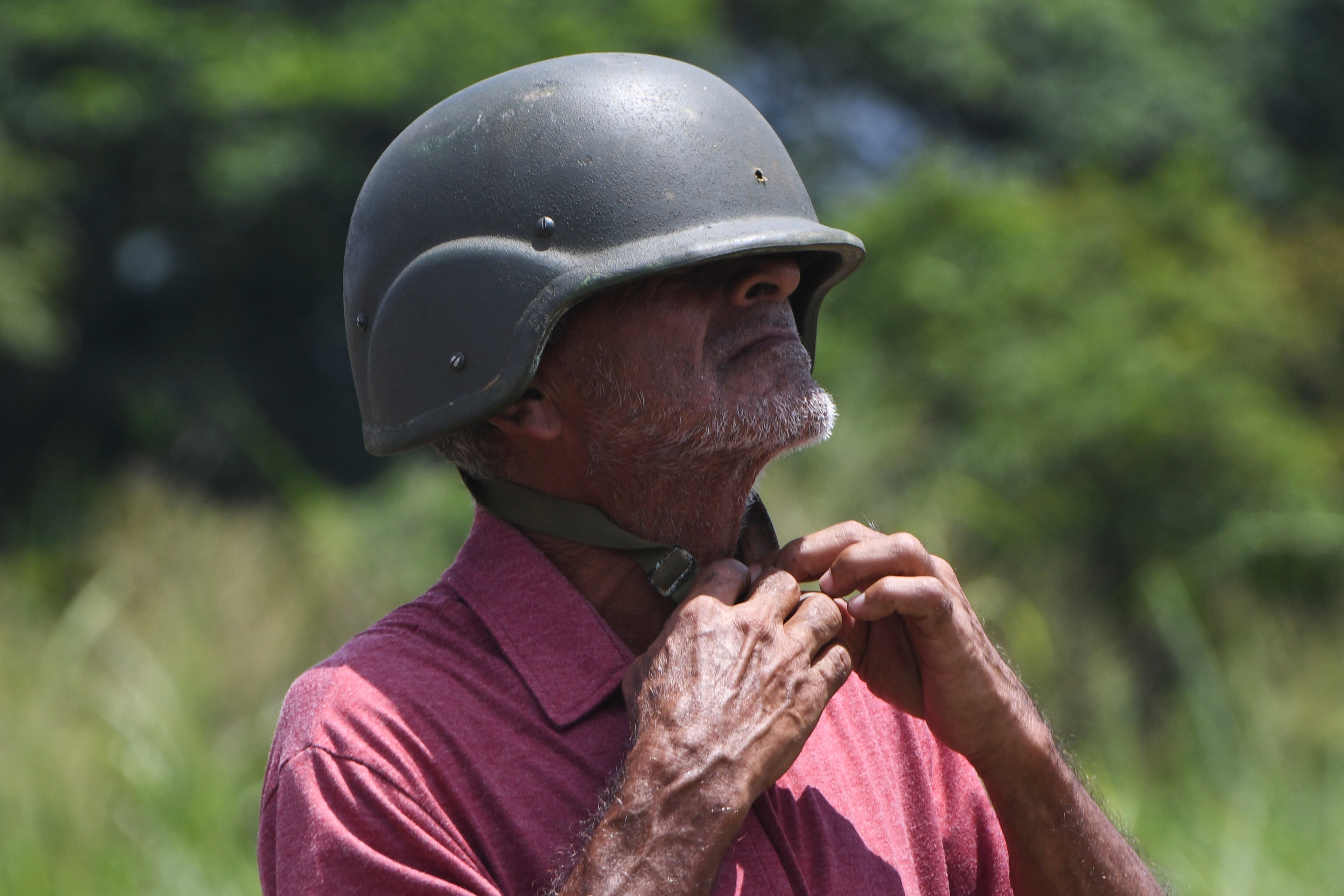 Delfines rosas, celebraciones del Día de la Independencia y más fotos de la semana en América Latina