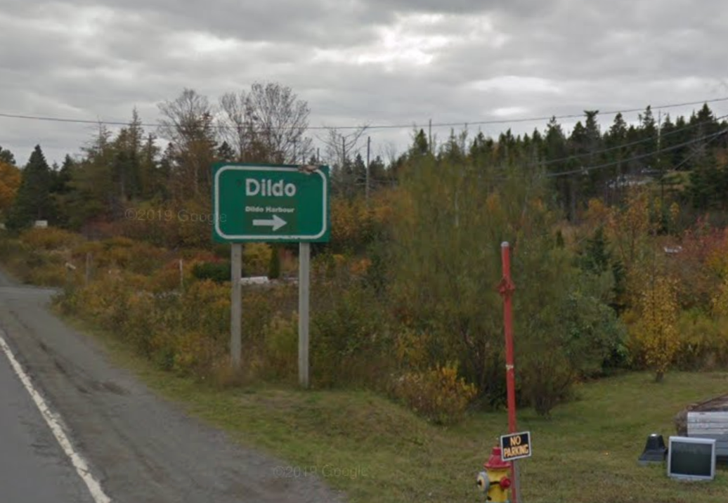 Dildo es un distrito de servicios locales y lugar designado en la provincia canadiense de Terranova y Labrador, en la isla de Terranova. Se ubica en el sureste de Dildo Arm, en la bahía de Trinity, a unos 96 kilómetros al oeste de St. John’s. En 2021 contaba con apenas 195 habitantes