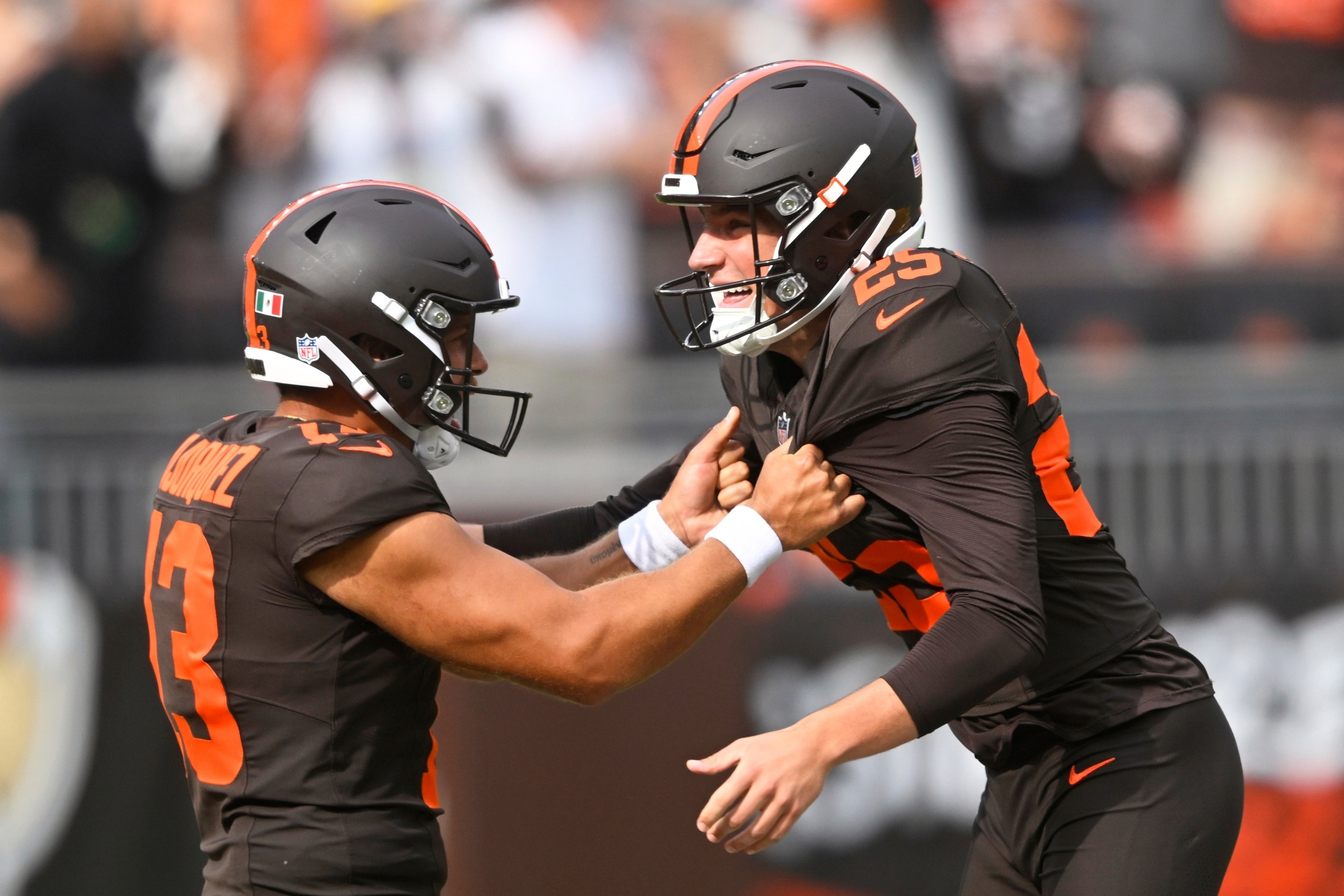 PACKERS BROWNS
