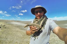 Científicos descubren dinosaurio en Argentina con poderosas garras