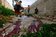 Gobierno de Trump designa a la pandilla Barrio 18 como organización terrorista extranjera
