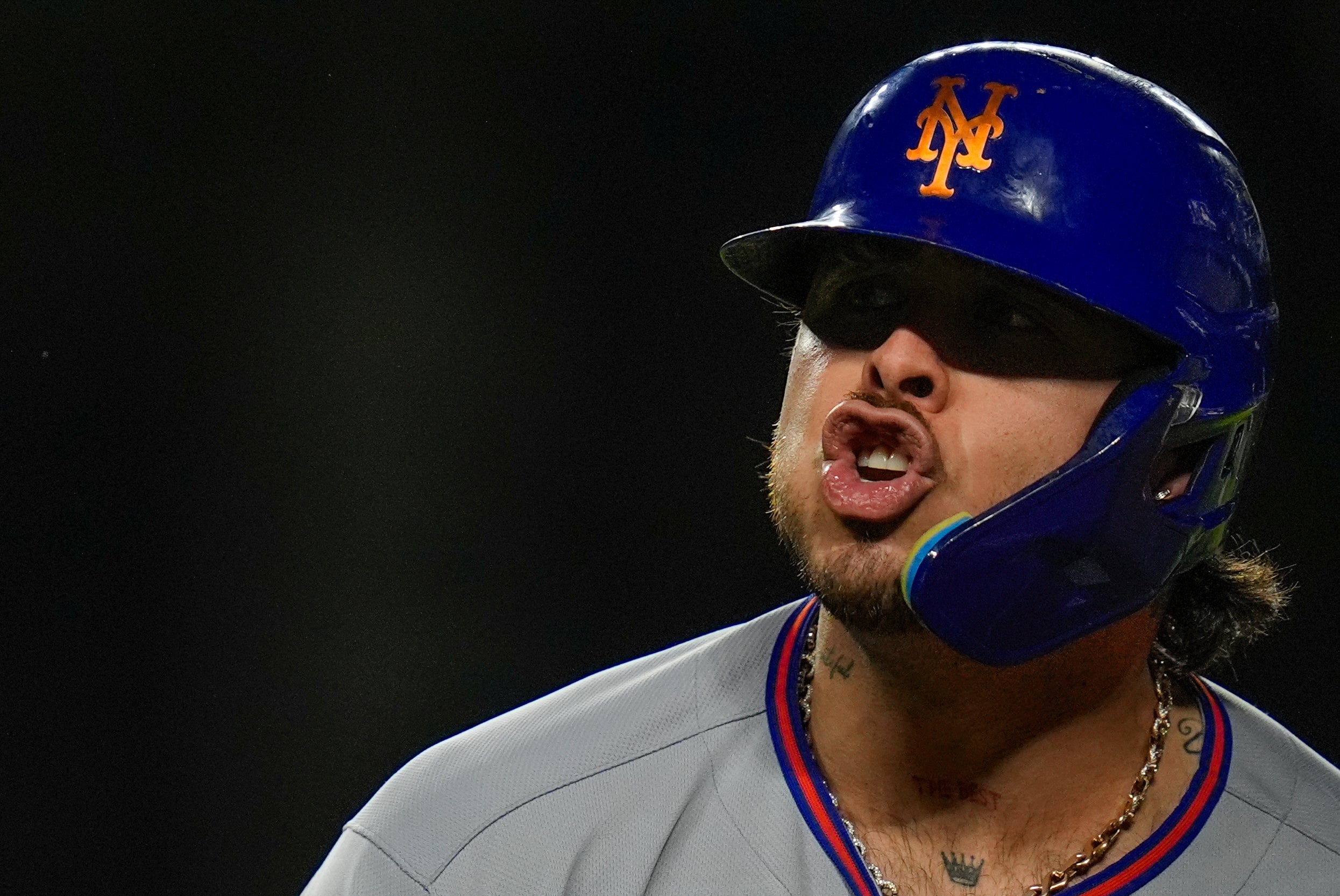 METS-CACHORROS