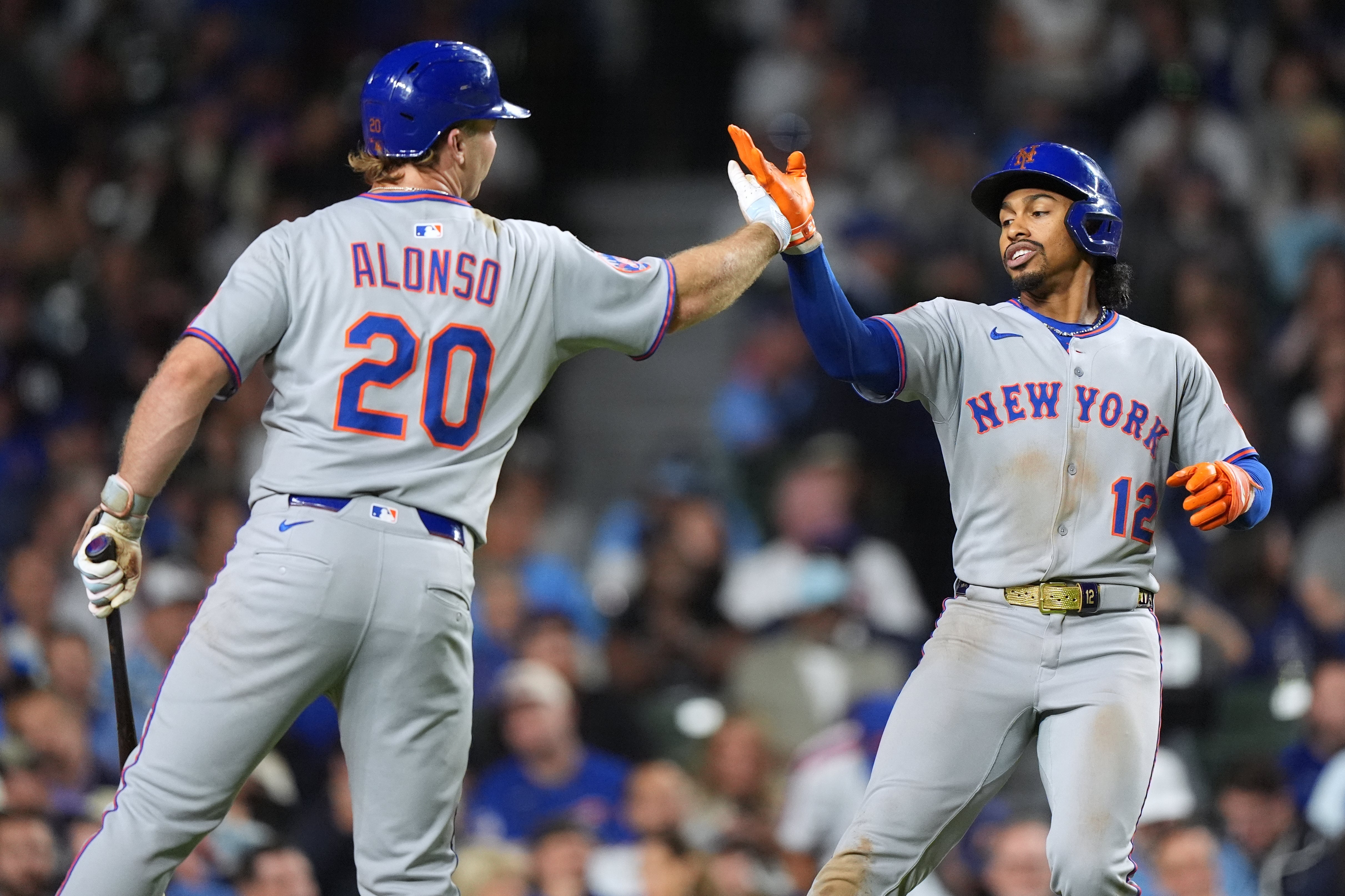 METS-CACHORROS