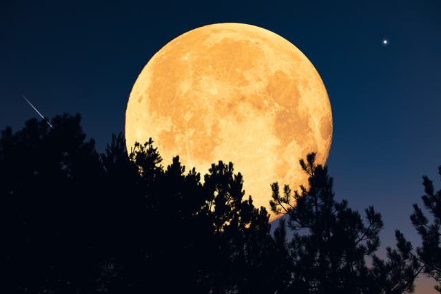 <p>La Luna de la Cosecha de 2025, que además será una superluna, ocurrirá el 6 de octubre</p>