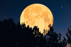La “rara” luna llena de octubre será la primera superluna de 2025