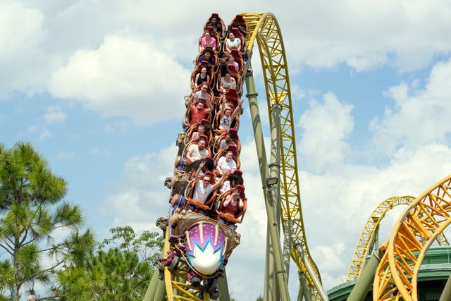 FLORIDA-MUERTE EN MONTAÑA RUSA