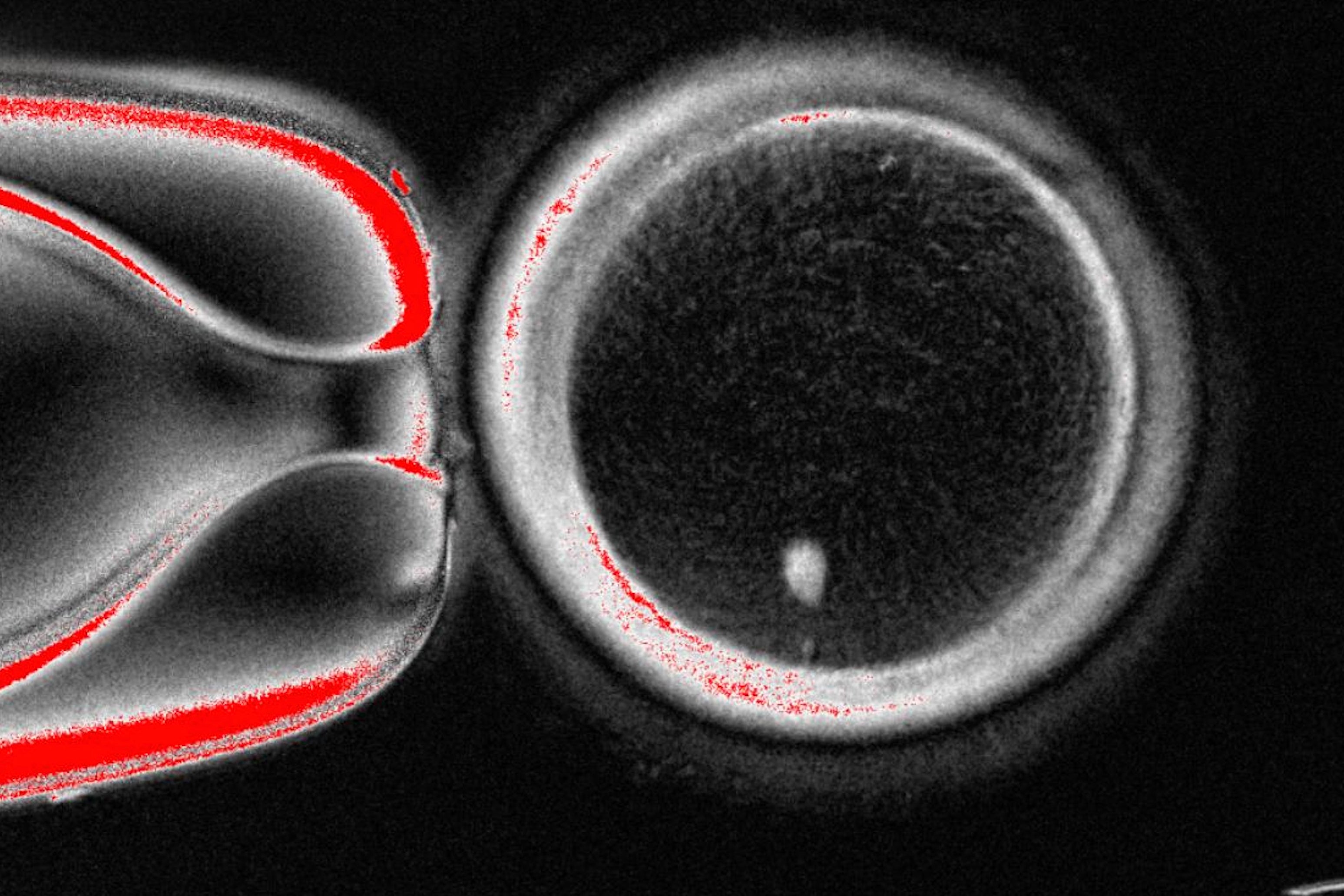 FERTILIDAD INVESTIGACION