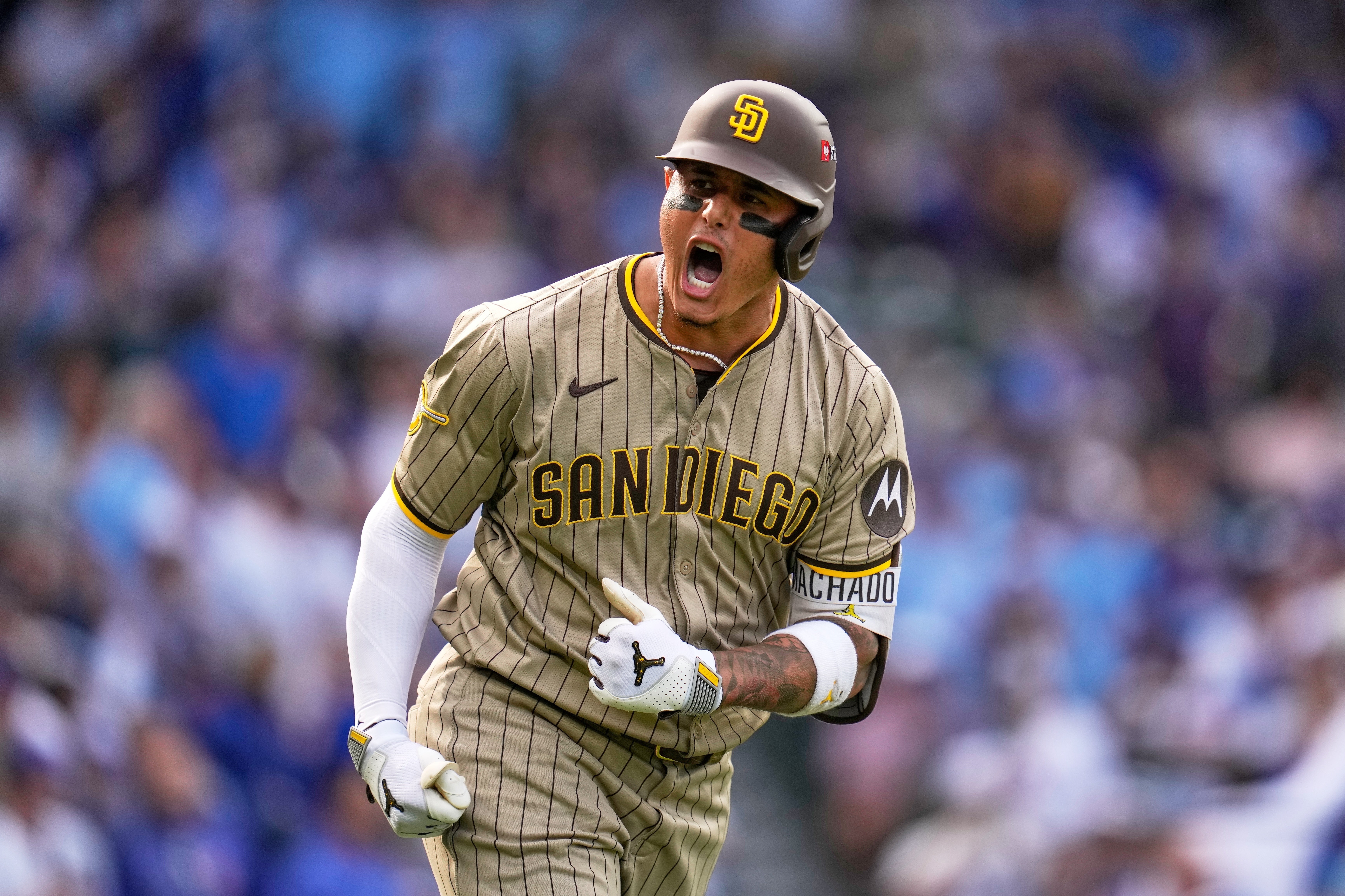 PADRES-CACHORROS