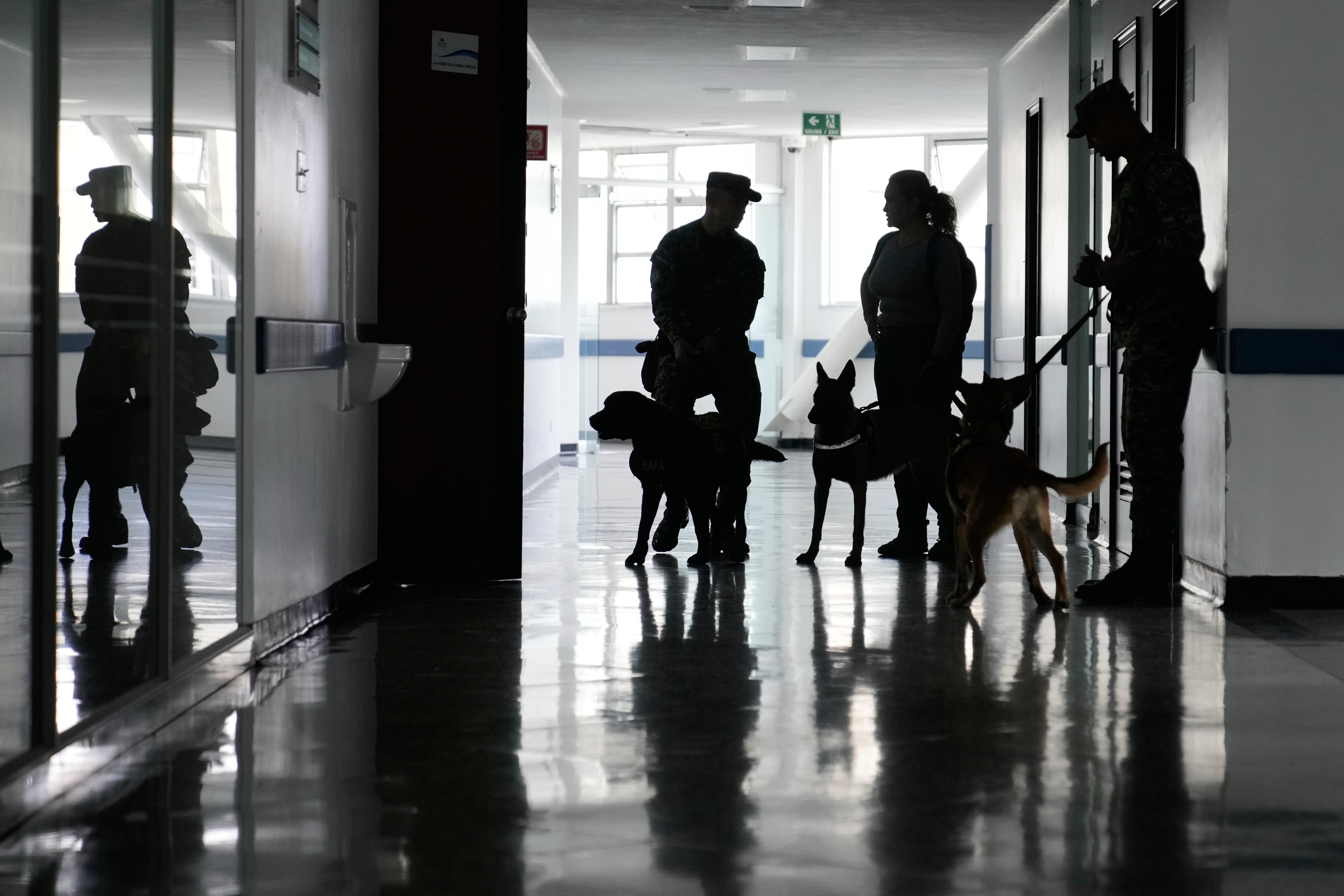 COLOMBIA-MILITARES-PERROS