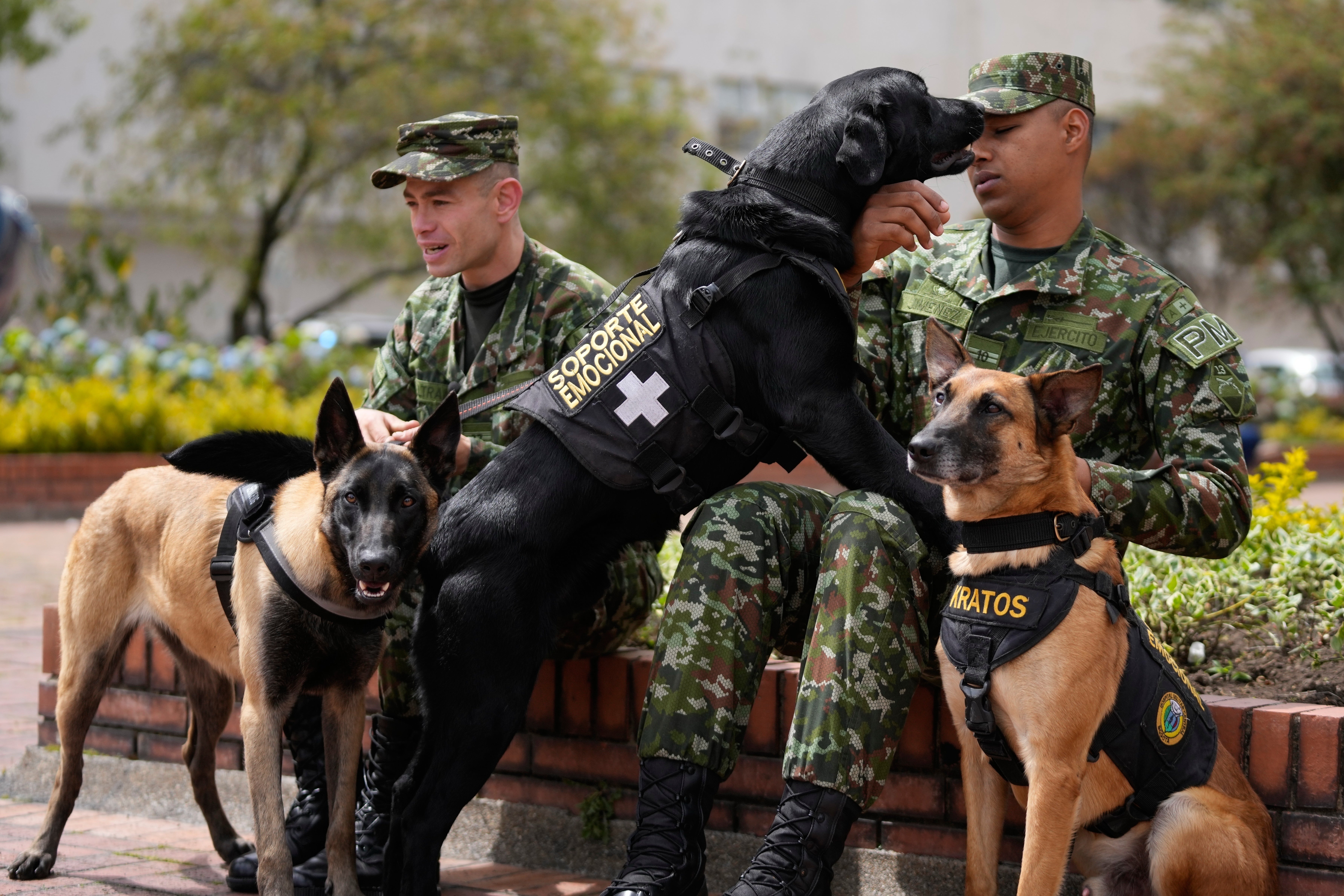 COLOMBIA-MILITARES-PERROS