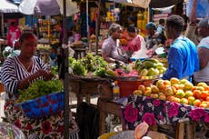 Dieta basada en plantas evitaría millones de muertes y el desastre climático, dicen científicos