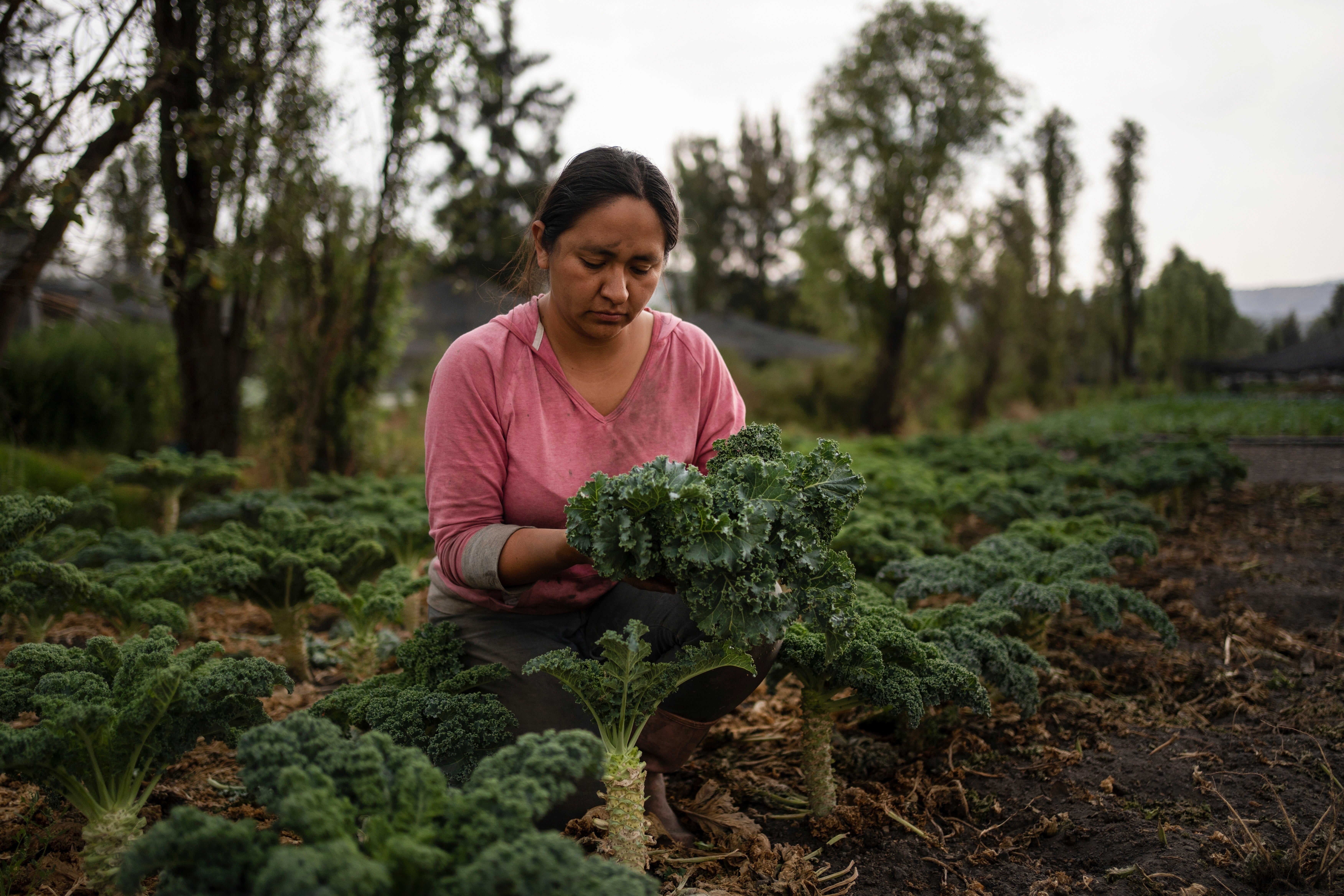 Las mujeres que están luchando por preservar las milenarias islas de cultivo de Ciudad de México