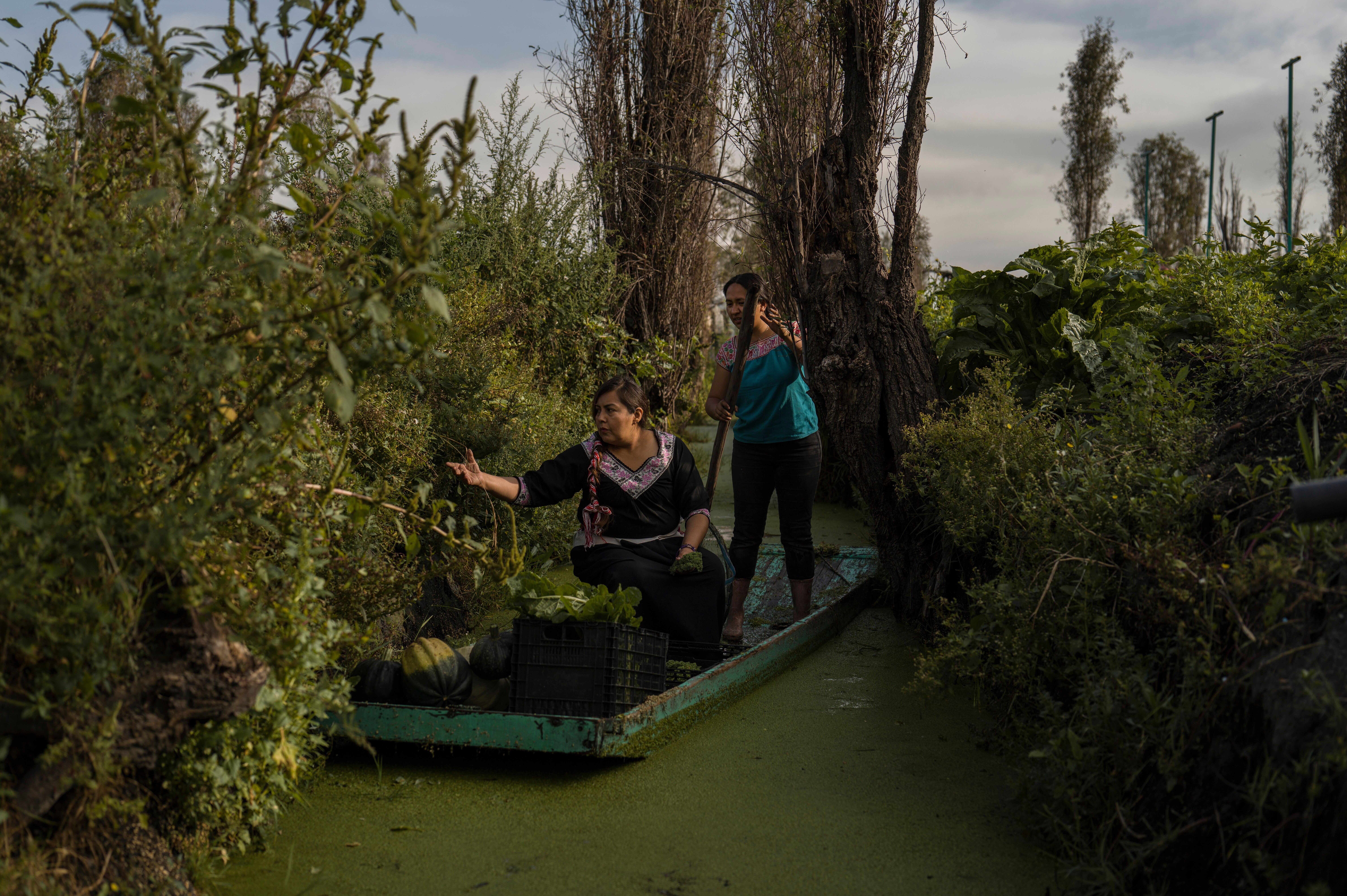 MÉXICO-CHINAMPAS-MUJERES